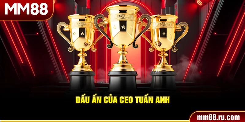 Dấu ấn của CEO Tuấn Anh