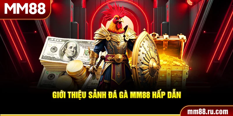 Giới thiệu sảnh đá gà MM88 hấp dẫn