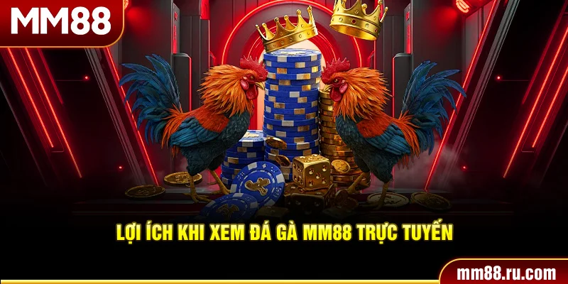 Lợi ích khi xem đá gà MM88 trực tuyến